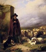 unknow artist Sheep 176 Germany oil painting artist